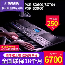 Yamaha Electronics PSR SX600 professional stage performance adult beginner composer keyboard folk band