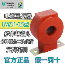 Tengen electric AC current transformer LMZJ1-0 66 0 5 Stage 100 200 300 5 600 three-phase