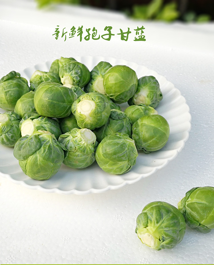新鲜蔬菜孢子甘蓝迷你小包菜抱子芽甘蓝西餐沙拉4斤包邮