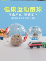 Small Hamsters Household Items Full Range Pet Rat Toys Special Gold Silk Bear Transparent Crystal Running Rollers Tearoo