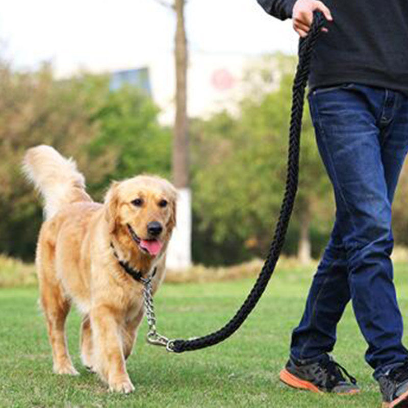 狗狗牵引绳,让遛狗更轻松