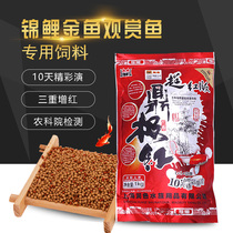 Dingchi red koi fish color-enhancing small grain fish food fish tank goldfish bred into special fish grain to increase the color of the feed 1KG