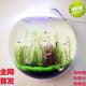 European vase home living room decorations aquaculture flower container 3d three-dimensional wall sticker green plant gardening flower pot flower European vase home living room decorations aquaculture flower container 3d three-dimensional wall sticker green plant gardening flower pot flower