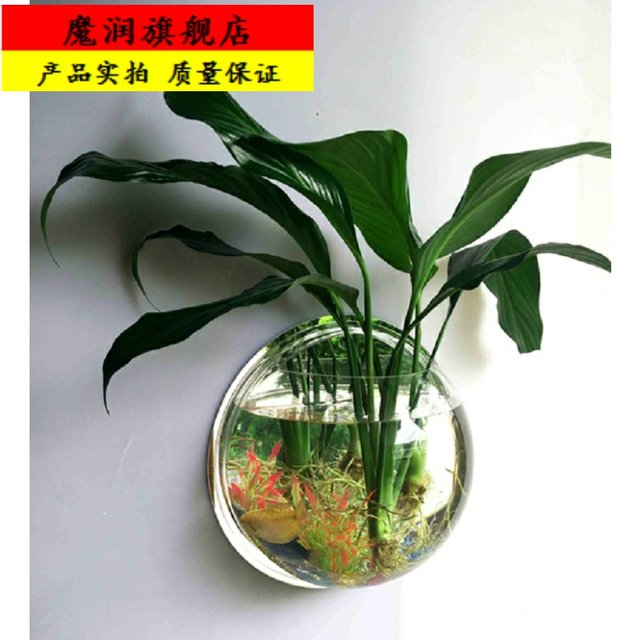 Hydroponic green dill home greenery gardening acrylic wall sticker flower vase water plant horticulture simple flower pot Hydroponic green dill home greenery gardening acrylic wall sticker flower vase water plant horticulture simple flower pot