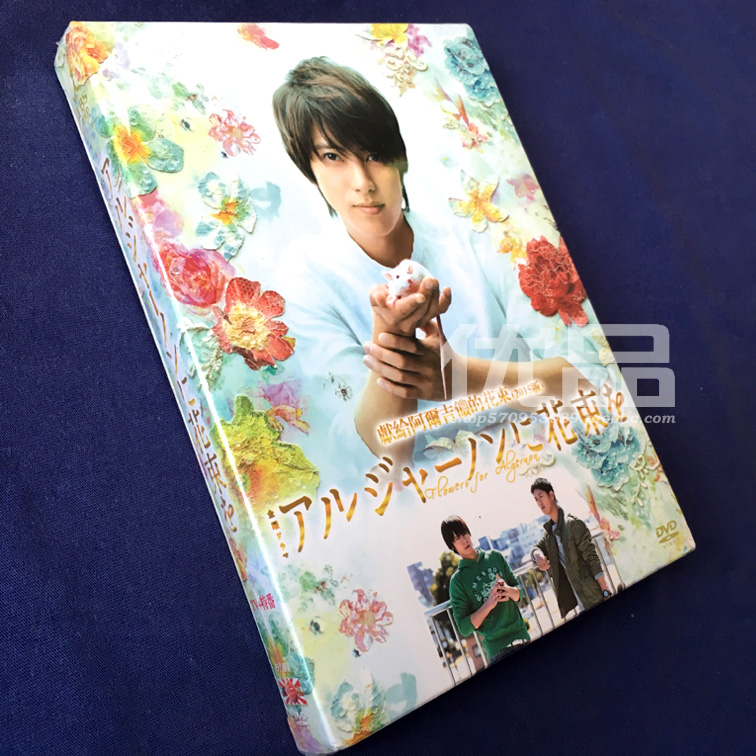 日劇《Flowers for Algernon 》山下智久 6碟DVD盒裝