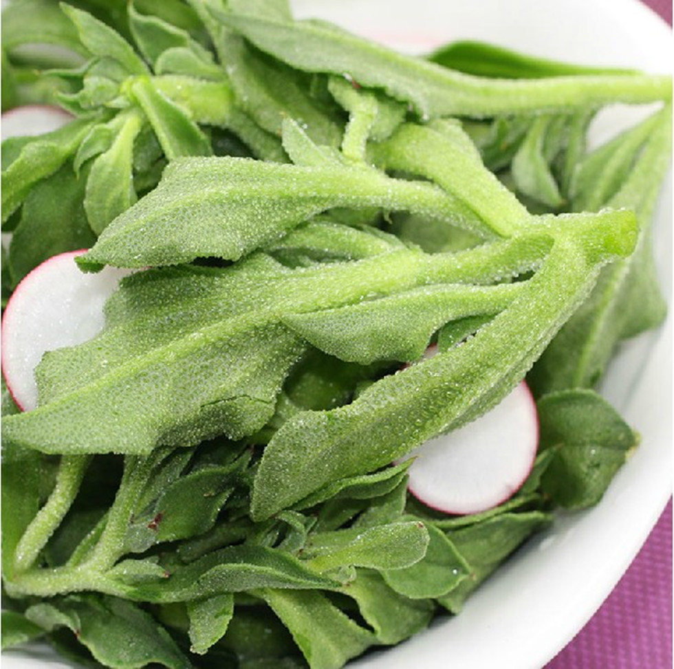 非洲冰草新鲜冰菜 特色蔬菜高档宴会食材300g西餐沙拉新鲜绿色