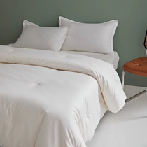 Soybean fiber Roland home textile Spring and autumn and Winter cotton quilt core quilt Single double bed Zimu Quilt University dormitory
