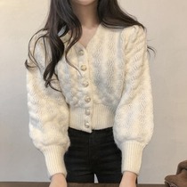 2021 spring and autumn thin new thickened short sweater high waist knitwear loose outside wear cardigan jacket top women