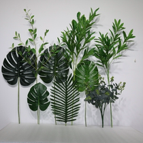 Leaf green leaf home decoration flower simulation turtle back leaf Large leaf flower arrangement Green plant leafy plant olive leaf