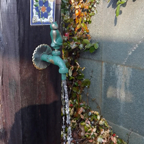 Meng cat cool dog outdoor creative faucet courtyard brass single cold garden antifreeze sunscreen mop washing machine