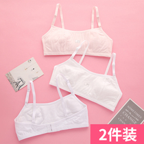 Underwear Female development small vest big child junior high school high school students 12-16 years old no rim pure cotton girl bra