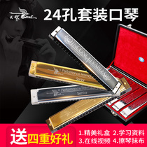 Swan 24-hole polyphonic 7-12-tone advanced adult professional ABCDEFGA#C#D#F#G# tune harmonica set