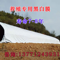 Greenhouse film Plastic film Imported high light transmittance PO film Waterproof and heat insulation thickened plastic cloth Non-drip film Breeding black and white film