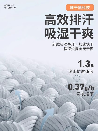 여름에 메쉬 주머니를 입는 여성을위한 상어 바지 얇은 허리, 배꼽 리프팅 및 슬리밍 요가 피트니스 바지 레깅스 여름에 메쉬 주머니를 입는 여성을위한 상어 바지 얇은 허리, 배꼽 리프팅 및 슬리밍 요가 피트니스 바지 레깅스