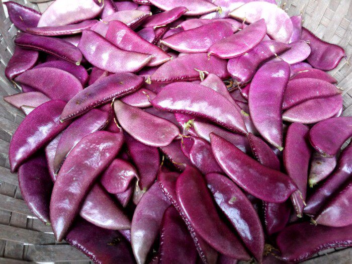 新鲜蔬菜鹅米豆眉豆紫扁豆农家自种本土小扁豆紫边豆角500g