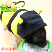 Small fragrant pig Pet clothes Pig Pig Clothing Little Pig Vest Necroe sweaters Pork Supplies