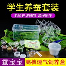 Silkworm baby living suit giant students raise silkworm eggs