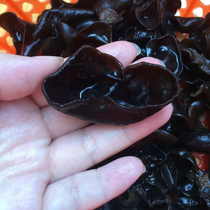 Auricularia auricula northeast specialty special pure bulk fungus dry goods Special Grade 500g wild