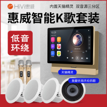 Hivi Whewway HS506A Super Horner Set Home Background Music Horn System Smart Home