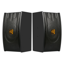 Lion Music BX118 Professional Family Ktv Acoustics Home Karaoke Room Card Bag Speaker