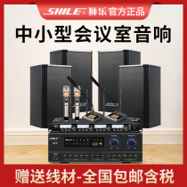 Lion Music BX108 AV108 Conference Room Sound Set Power Amplifier Combination Training Shop Supermarket Wall Hanging Speaker