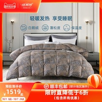 Jiali white goose down winter quilt duvet thickened double warm quilt core wedding fluffy four seasons winter quilt