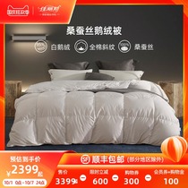 Jiali quilt with winter quilt thickened goose down silk quilt quilt quilt quilt quilt quilt core autumn winter double winter quilt