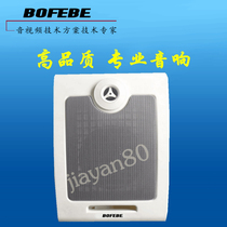 Campus Background Music Public Broadcasting System Spaceflight HT-113 wall-mounted speaker horn