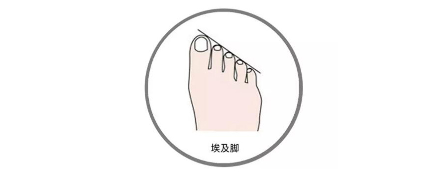 埃及脚