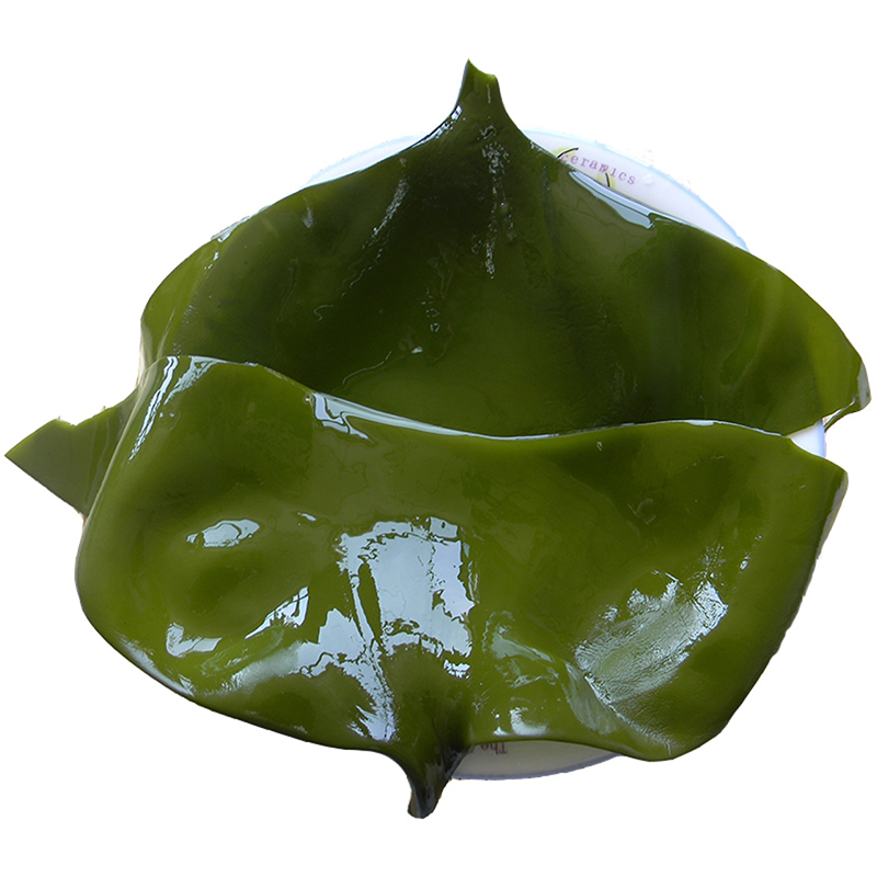 客聚多 榮成特產(chǎn) 新鮮鹽漬海帶頭 5斤