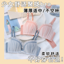 Underwear womens small breasts gathered to close the pair of breasts anti-sagging girl college high school pure desire bra no underwire suit