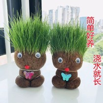 Creative Long Grass Head Doll Mini Small Plant Potted Indoor Balcony Co-style Cute Desktop Pendulum presents