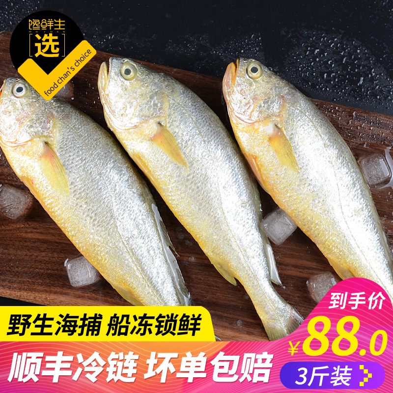✅野生大黄花鱼新鲜海鲜水产鲜活东海小黄花鱼黄鱼鲞生鲜冷冻3斤装