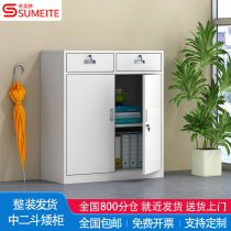 Steel file cabinet iron cabinet office locker data cabinet file cabinet two buckets lower section low cabinet drawer cabinet