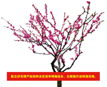 Zizhu Forest in the Zizhu Forest