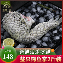(Gathering relatives)Fresh crocodile palm crocodile leg meat killed crocodile meat Siamese crocodile live killed 2 kg pack
