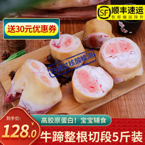 (Gathering relatives)Fresh freshly killed cow hoof cow palm bone and tendon cow hoof fresh raw cow hoof SF