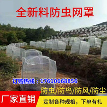 Insect-proof cover plant gauze plant cover Anti-bird mesh cover Young Mei mosquito net anti-insect mesh yarn cover Lian Fog Hood Subpeach Tree Cover