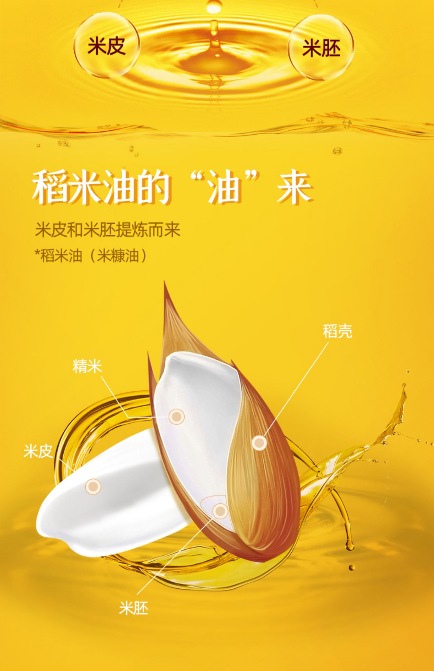 粮油调味/速食/干货/烘焙 米糠油 正文