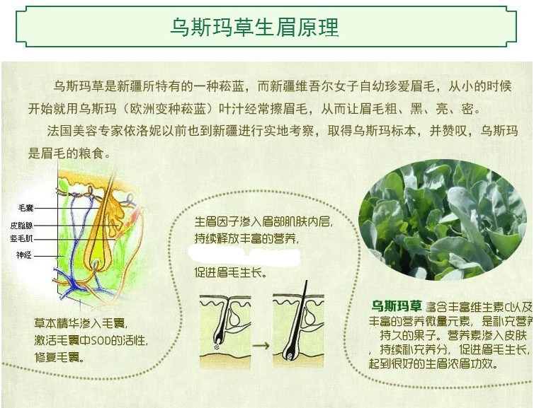 新疆蜜喀尔乌斯玛草粉眉粉眉毛发际线生长增长100克大包实惠装