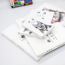 Marley Margaini Painting hand painted with double sided myography 150g Italian original paper 64K 32K 32K 9K 9K for drawing methods such as sketching water powder propylene pen color chalk colored lead