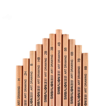 Male lion drawing pencil single branch log fine art painting with sketching pencil 2H H HB B 2B 3B 3B 5B 9B 5B 7B 8B 10B 10B 10B 10B 10B pencil book