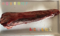 Livestock Inner Mongolia grassland camel tail tail fresh