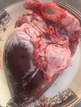 Camel Heart Camel Camel Meat Inner Mongolia Gobi Camel Fresh