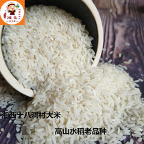 Hunan Xiangxi eighteen hole village new rice old varieties of rice grain loaded with waxy sticky specialty ecological non-polishing 5 pounds