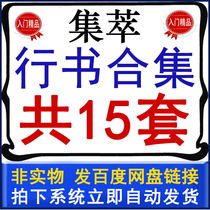 Walking book teaching video collection brush calligraphy self-study beginner basic introduction lecture tutorial course resources Complete Collection