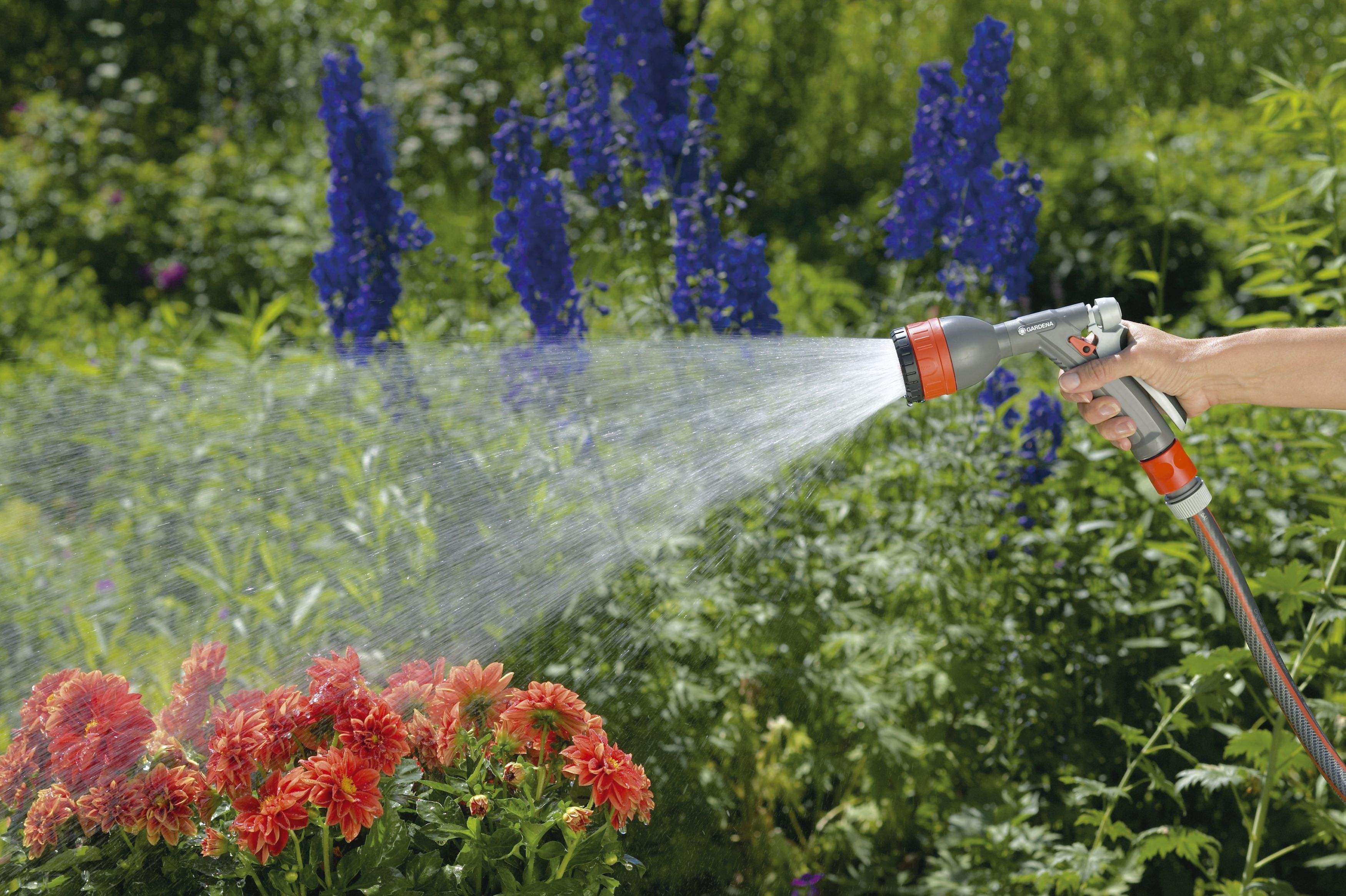 天天给花浇水,怎么反倒"面黄肌瘦"了?