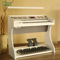 Ringway electronic tube organ RS1000E childrens double row key teaching digital piano