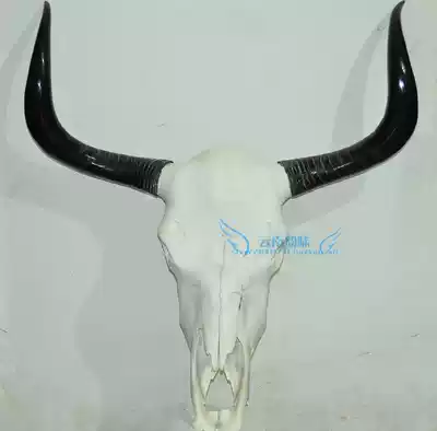 Factory price direct sale natural cow skull craft gifts ornaments Tibetan area true Yak skull ornaments sheep skull specimens