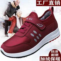 Shoe factory direct sale winter cotton shoes female middle-aged and elderly walking shoes plus velvet warm soft bottom old shoes large size mother shoes